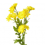 1 tk Kunstlik kr&uuml;santeemi aia v&otilde;ltslilled isetegemise pulmapeo kodukaunistus kollane