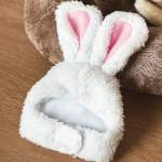 [Lemmikloom] K&uuml;&uuml;liku m&uuml;ts