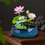 Bonsai Bowl Ceramic Planter for Indoor Plants Lotus Planting in Water Indoors gradient blue