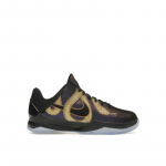 Nike Zoom Kobe 5 GS Mamba aasta - Baklažaanikujulised laste tossud Lilla Must Metallik-Kuld HM3753-500 36.5