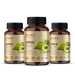 Jiva Amla tabletid 500mg 120 tabletti X 3 tk pakis | Antioks&uuml;dantiderikas C-vitamiini toidulisand seedimise ja n&auml;gemise toetamiseks