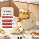 Automaatne multifunktsionaalne nuudli- ja pelmeenipressmasin 9 Pasta Molds - 500g valkjas v&auml;rv