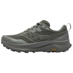 Saucony Peregrine 16 Gtx Mitmek&uuml;lgsed Mugavad Libisemiskindlad Veekindlad Jooksujalatsid Meeste tossud Roheline S21068-110 40.5 gray