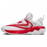 Nike Giannis Immortality 3 EP All-Star - FV4080-600 EU 41 punane