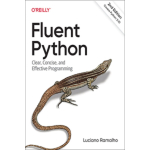 oreilly Fluent Python Pehmekaaneline UKN137