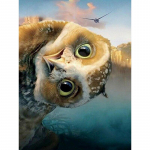 T&auml;is&uuml;mmargune teemant 5D DIY teemantmaal Kaelusega armas &ouml;&ouml;kull teemanttikandid ristpistes 20X30CM