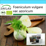 SAFLAX &ndash; kinkekomplekt &ndash; Orgaaniline &ndash; Firenze apteegitill &ndash; 100 seemet &ndash; Koos kinkekarbi, kaardi, etiketi ja potisubstraadiga &ndash; Foeniculum vulgare