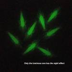 Pehme simulatsiooniga kalakonks krevett krevett konksuga s&ouml;&ouml;t kalap&uuml;&uuml;gi landid kunsts&ouml;&ouml;t helendav krevett 4 cm 10pcs luminous