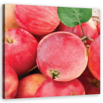 L&otilde;uendiprint Apple makro 30x30 roosa