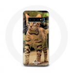 &Uuml;mbris Samsung Galaxy S10 Edge Bengali kassit&otilde;ugu koomiksile