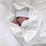 Reborn Nukk 18 tolli Realistlik Bebe Darren &Otilde;rn Maalitud T&auml;is Vin&uuml;&uuml;lkeha Taaskasutatud Beebinukk Laste M&auml;ngukaaslane Nukk M&auml;nguasi Lapse P&uuml;hade Kingitus Cloth Body Doll