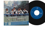 7-tolline plaat UUS HOOAEG - Wakaretemo Sukina Hito / Harajukuek AT4058 TOHO Jaapan Jaapani Pop/Rock Kasutatud