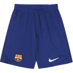 Nike Barcelona 23/24 Hooaeg Koduv&auml;ljaku F&auml;nniversioon Logo Prindiga Elastsed Jalgpallishortsid Meeste l&uuml;hikesed p&uuml;ksid Sinised DX2709-455 XL