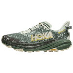 Hoka One One Speedgoat 6 Gtx Klassikalised Mugavad Maastikujooksujalatsid Meeste tossud 1155150-SFRN 42 gray