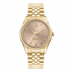 Vivienne Westwoodi kvartskell 38 mm roosakuldne sihver m&uuml;ndikujulise raamiga Naiste kellad DWVV240PKGD Regular Watch Box