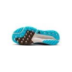 Nike ACG Pegasus Trail Baltic Blue Summit White Meeste Tossud Light-Orewood-Brown Ironstone HV8116-400 42 blue