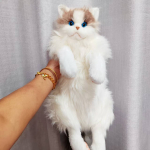 Kolme lillega kass simulatsioon kassinukk nukk nukk pl&uuml;&uuml;sm&auml;nguasi kaltsunukk kass seljakott s&uuml;nnip&auml;evakingitus 50cm 450g white