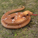 Simulatsioon Madu Suur Python V&otilde;ltsmadu V&auml;ike ussikangast nukk Palus m&auml;nguasi Tricky Kool Doll Lastele Loov kingitus 280cm