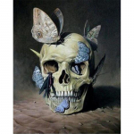 Teemantmaal Mosaiik Kolju ja liblikas Teemantkivist tikandid Ristpistes Kodukaunistus 20X30CM