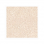 JUNGSAEMMOOL Essential Skin Nuder Cushion 14g (+ t&auml;idisega 14g) SPF50+ PA+++ 6 v&auml;rvivalikut 1.Fair