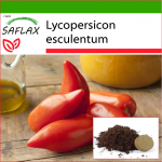 SAFLAX - Tomat - Cornue des Andes - 10 seemet - Potisubstraadiga paremaks kasvatamiseks - Lycopersicon esculentum