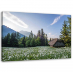 L&otilde;uenditr&uuml;kk Landscape Mountain House 60x40 sinine