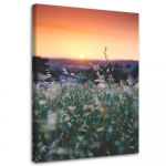 L&otilde;uenditr&uuml;kk Meadow Sunset Nature 40x60 oranž