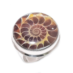 Ammonite Fossil Gemstone Handmade 925 Sterling Silver Jewelry Ring Size 9 q2l18