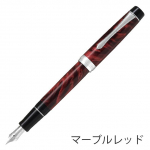 Pilot Namiki CUSTOM HERITAGE SE Marmorpunane Keskmine teras FKVH-3MR-MARM