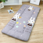 Paks pehme kokkupandav madratsikate &uuml;hiselamu narivoodile Nap Class 70x170cm