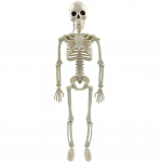 Halloweeni &otilde;udusluukere kuju liigutatavate/poseeritavate liigestega dekoratiivne kolju skulptuur t&auml;issuuruses hoovi, aia, terrassi, kummitava maja jaoks 40CM valge