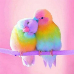 5D teemantmaal t&auml;isteemanttikandid kodukaunistus multikas loomade kingitus tikandid 60x60CM tumepunast v&auml;rvi