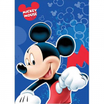 Mickey Disney tekk