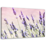 L&otilde;uenditr&uuml;kk Lavendel Nature Flowers 60x40 lilla