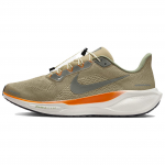 Nike Pegasus 41 Neutraalsed Oliivirohelised Tossud HJ7331-276 40 pruun