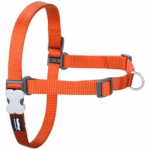 Harnais pour Chien - RED DINGO - Orange - Taille S - 36-50 cm - Multicolore puhas