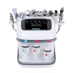 Machine hydrofaciale 10 en 1, rajeunissement de la peau, &eacute;limination de la peau morte, bougie de l'UE