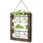 6 tk paljundusjaam seinale riputatav klaasist istutuspotis pirnipott taime terrarium retro puidust alusega kahekihiline h&uuml;dropoonika taimedele 1set