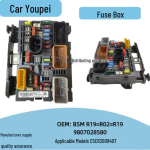Peugeot 3008 Citroen C5 C6 Kaitsmekarp BSM R02 R19 R18 (9807028580) Neutral Packaging