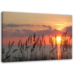 Feeby l&otilde;uenditr&uuml;kk, vaade merele 60x40 roosa