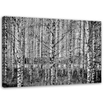 L&otilde;uenditr&uuml;kk Kasemets 60x40 must/valge