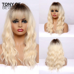 Pikad lainelised pruunid kuni heleblondid Ombre juuksed koos Bang s&uuml;nteetiliste juuste parukad naistele kuumakindlate Cosplay looduslike juuste parukad