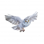 Veronese disain Annes t&otilde;stab teie lumekakku 2D Pentagrami ripatsskulptuuriga One Size