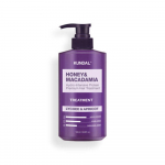 KUNDAL Honey & Macadamia Protein Hair Treatment Lychee & apricot 500ml 1 PCS