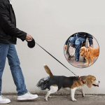 Koera m&auml;hkp&uuml;ksid Veekindel Kaka kogumine Pikkade reisideks Eakad XS M