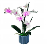 25CM LED-valgusti komplekt 10311 Orhidee ehitusklotside komplektile (EI sisalda mudelit) Tellistest m&auml;nguasjad lastele