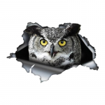 &Ouml;&ouml;kull j&otilde;llitab teie autokleebist Auto p&otilde;rkeraua akna kleebised veoautode kaubikute moekleebiste jaoks Vin&uuml;&uuml;lmaterjalist kleebised 15cm-Longest Side