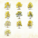 20 tk Puu Kleepsud Liim DIY K&auml;siarve P&auml;evik Album Scrapbooking Materjal K&auml;sitsi valmistatud Junk Journal Tarvikud