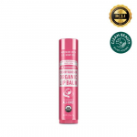 dr. Bronner's Organic Huulepalsam 4g, 4 t&uuml;&uuml;pi, vali 1 peppermint