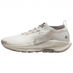 Nike Pegasus Trail 5 GORE-TEX Summit White Light Bone Meeste tossid College-Grey HQ7494-100 44